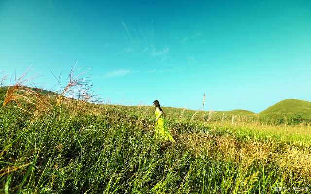 手机屏幕越用越暗什么原因,手机屏幕疏油层磨损感觉屏幕不滑