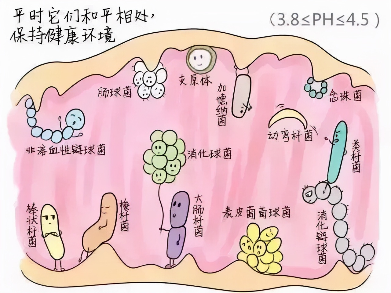 不能用的卫生巾牌子有哪些,哪些牌子的卫生巾有问题