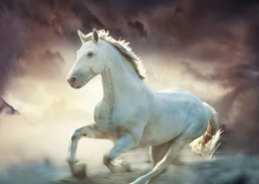 被年轻人遗忘的年俗,寻找即将消失的年俗