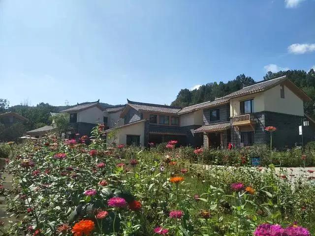 成都金堂橄榄小镇最新规划,金堂橄榄小镇在哪里