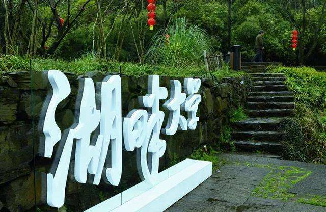 张勇怎么对待员工,张勇的价值观与职业发展