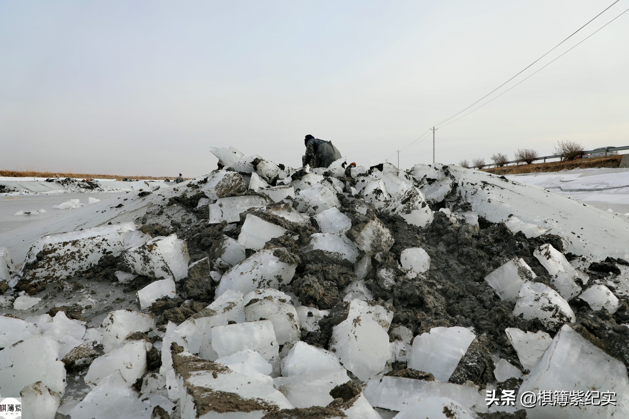 挖竹节蛏挣钱,赶海抓蛏子一天能赚多少钱