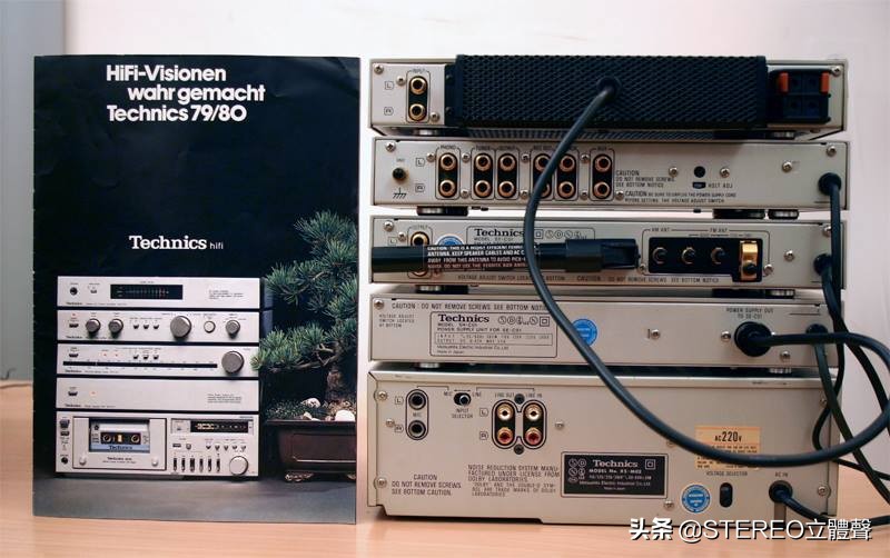 她们都很美全文免费阅读,他们都很美丽原版