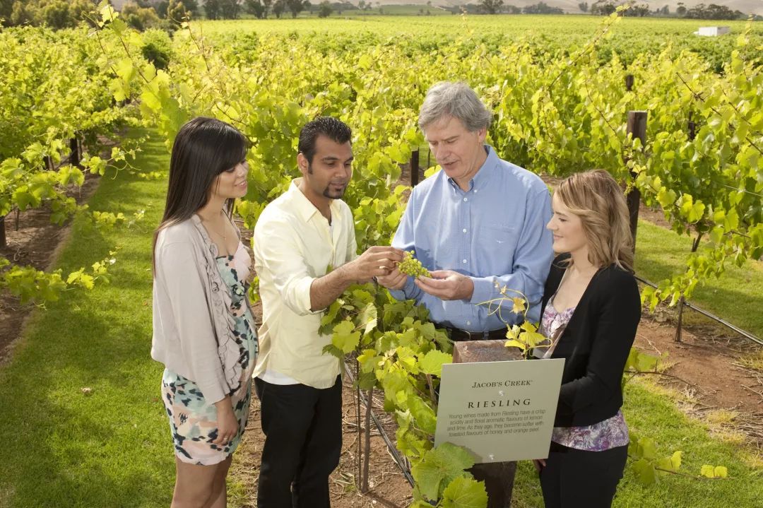 澳大利亚游的最佳线路,澳大利亚旅游攻略10天线路