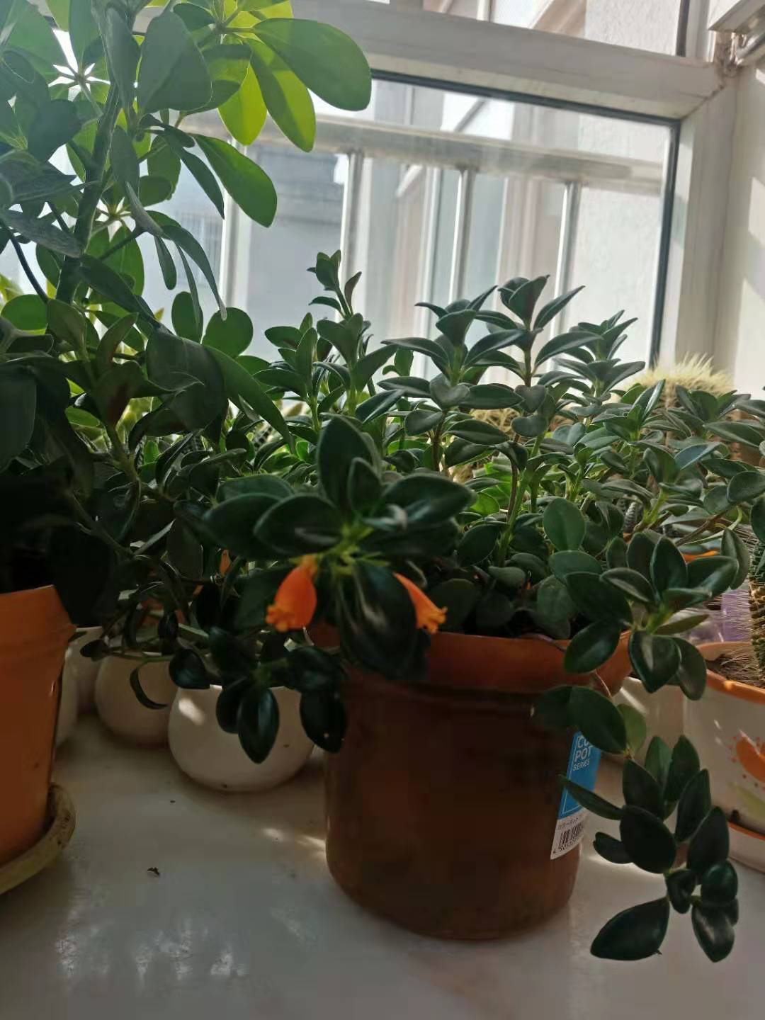 火山小视频怎么做到两个号,火山小视频到底按什么标准挣钱