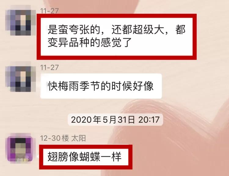 白蚁上门防治必看,全国白蚁防治中心官方网站
