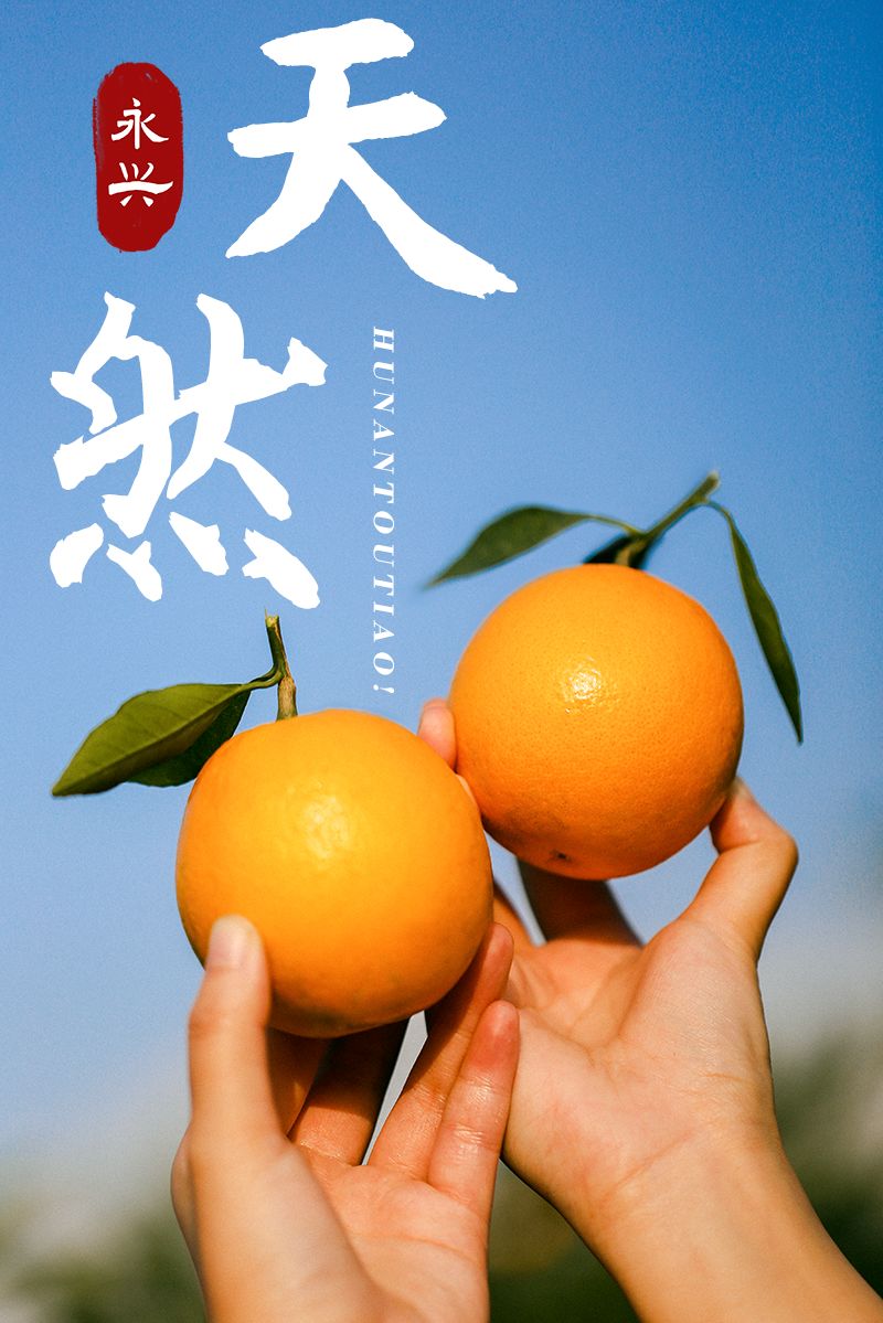 超爽福利暴击！高山神秘“金疙瘩”,甜蜜你的冬天