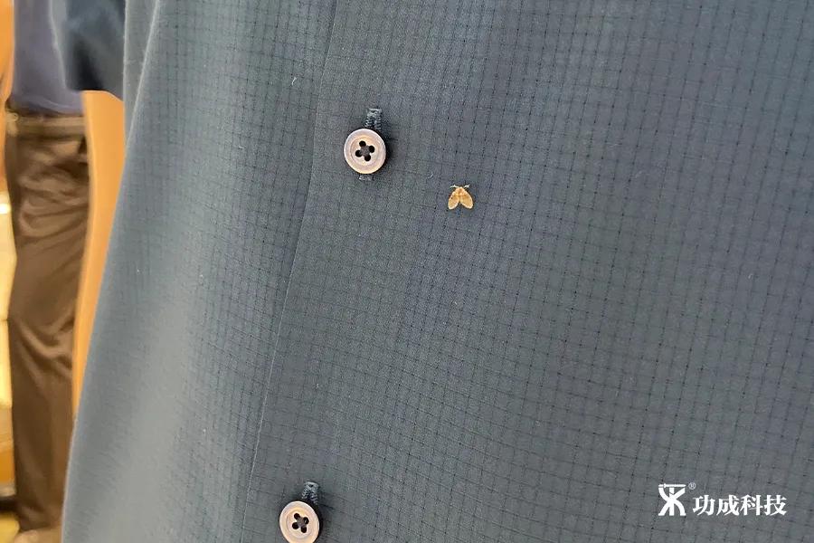 卫生间有小虫蛾蚋怎么治,卫生间出现蛾蚋怎么处理