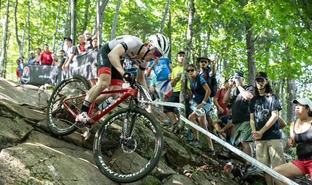 硬尾山地车入门推荐,硬尾山地车各种类型有啥区别