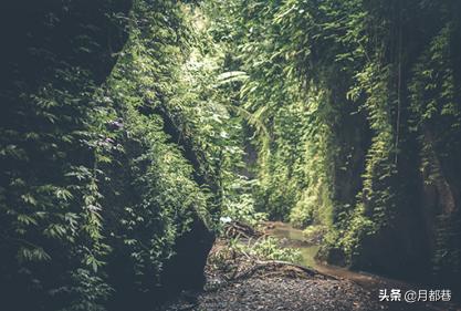 2019年3月26日财运,2020年4月28日黄历