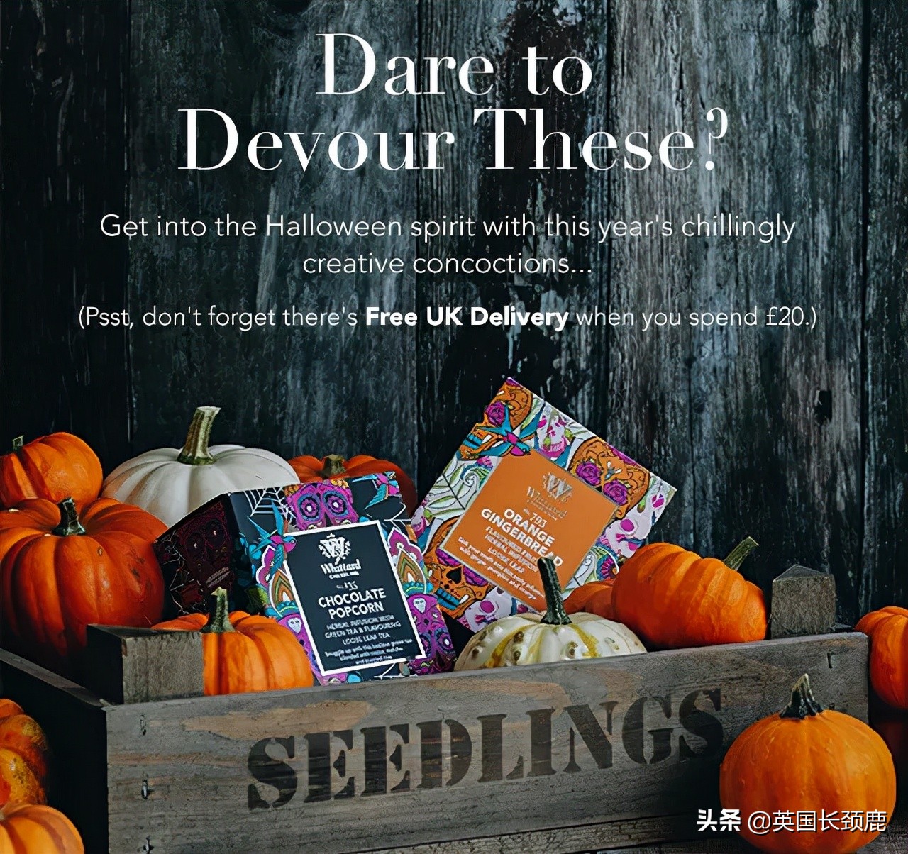 玛莎僵尸PercyPig、恐怖马卡龙..今年英国万圣哪些限定值得入手?
