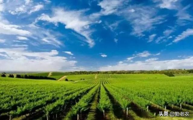 农业公司申请农业补贴找哪个部门,政策补贴农业项目怎么申请