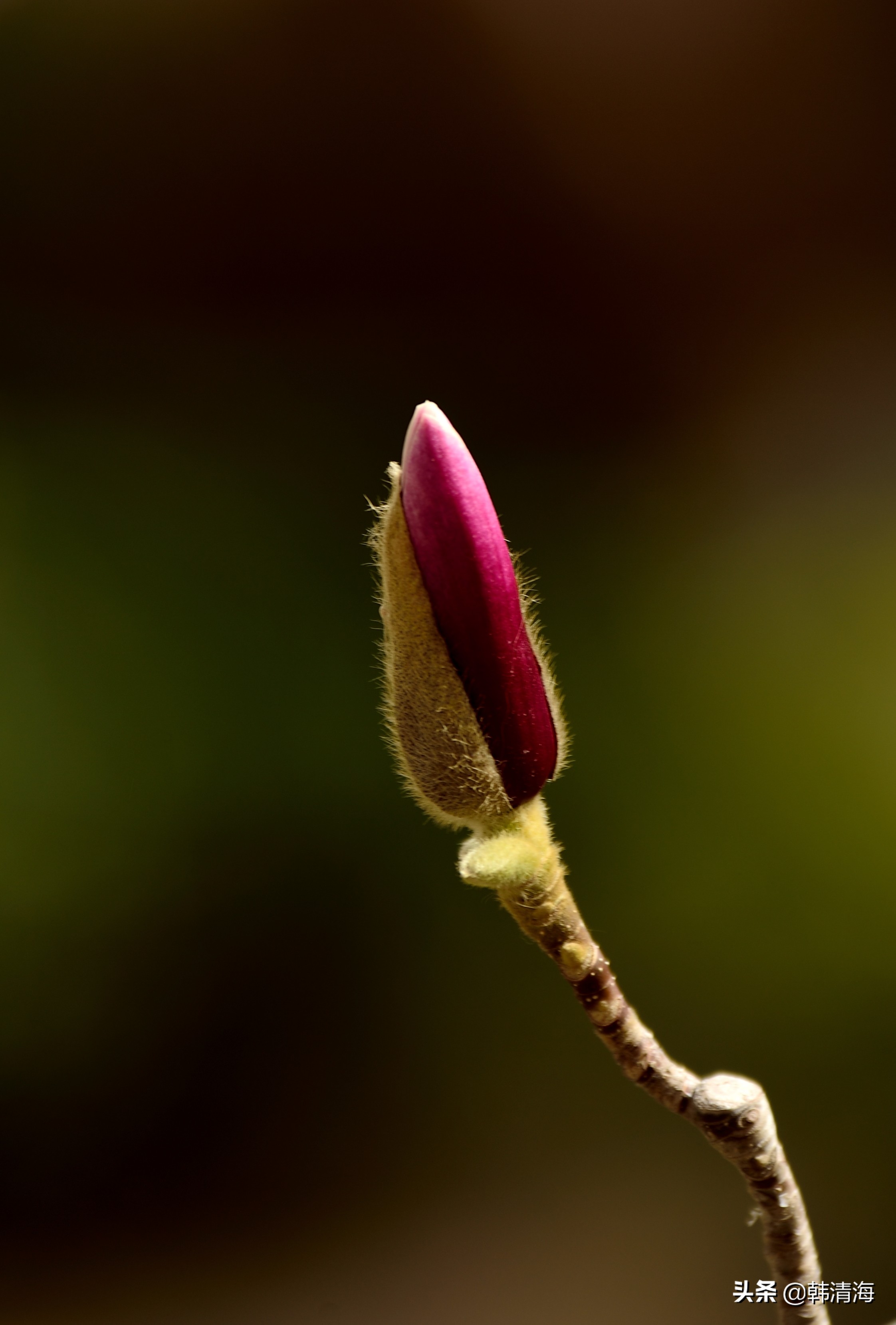 天津南开水畔花园洋房,天津南开区水畔花园