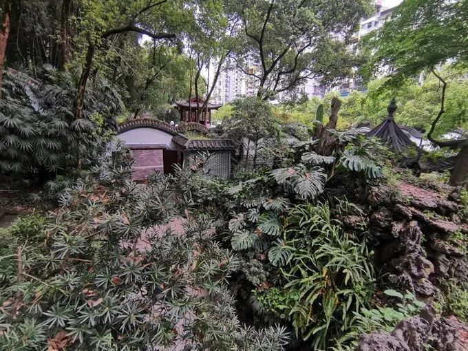 重庆万州旅游全攻略自由行,重庆万州旅游攻略详细