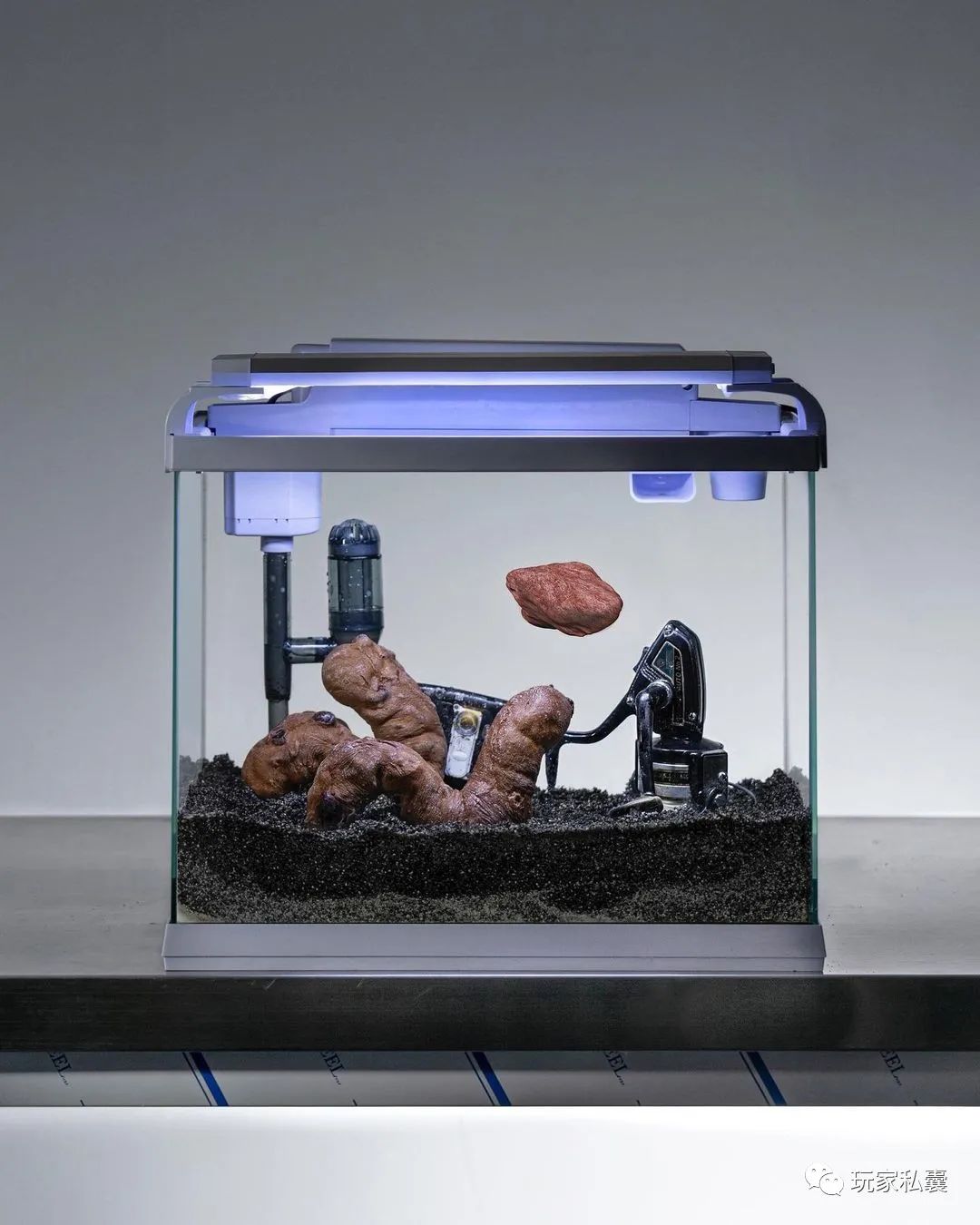 gentlemonster鐪奸暅鍝佺墝,gentlemonster鍝佺墝鐪奸暅鎺ㄨ崘