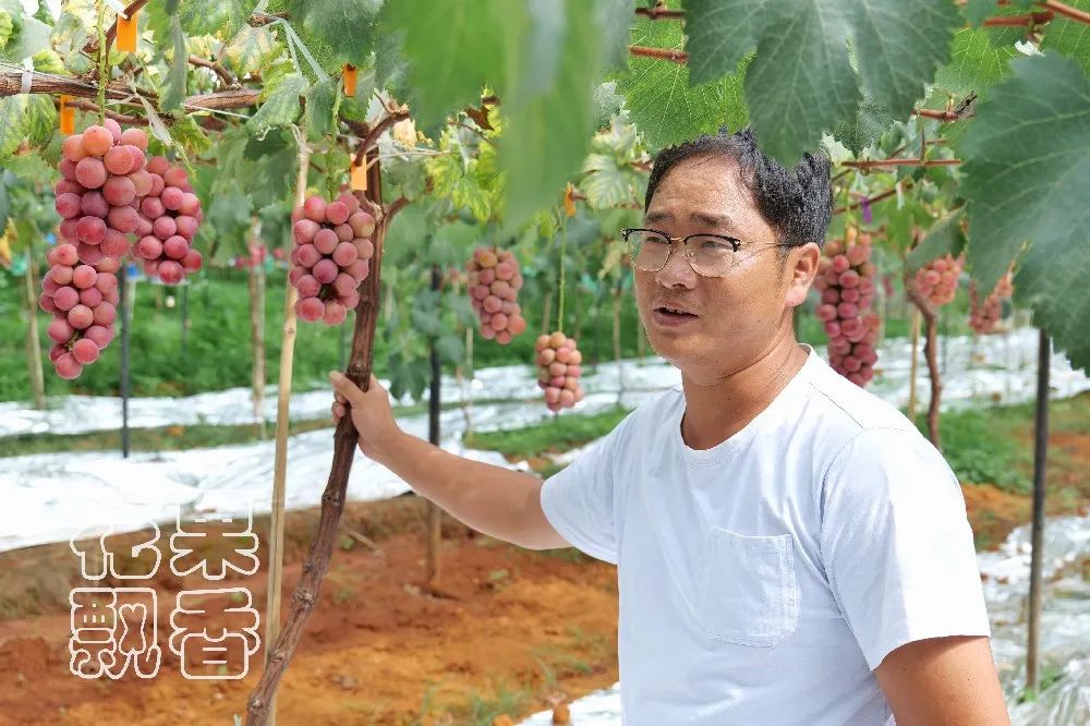 为什么大家都喜欢蹦迪,为什么喜欢跳坑