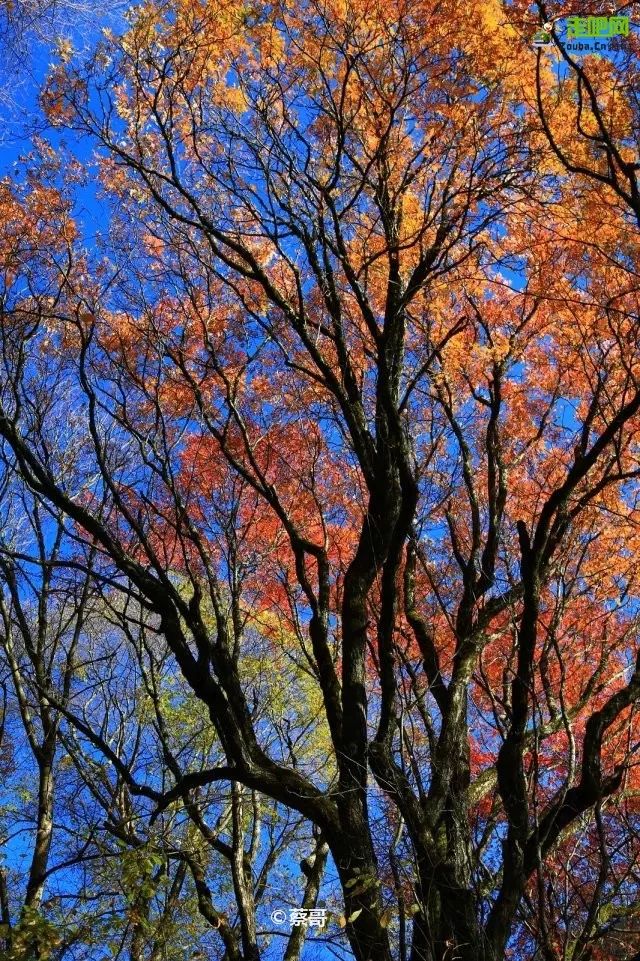 四川一条路途经全是石头的山,四川红叶一日游攻略