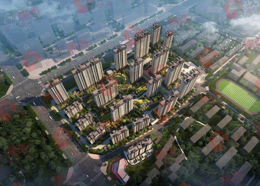 沧州碧桂园楼盘在哪,沧州书香华府二手房