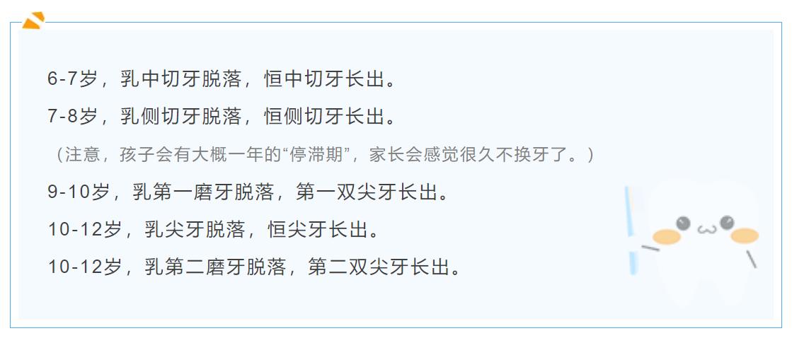 6-12岁儿童换牙的顺序图片,6-12岁换牙的顺序