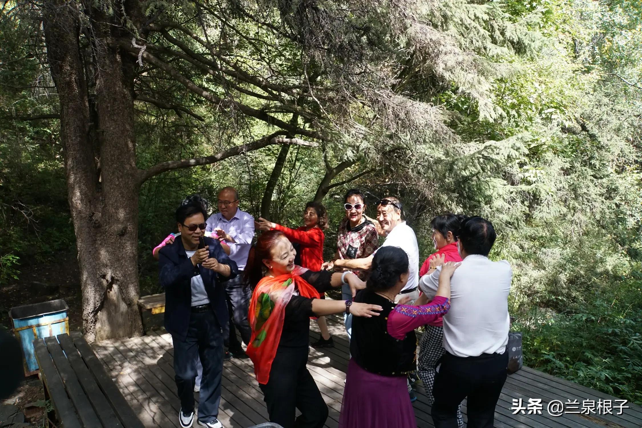 秋日之旅旅游攻略,秋日自驾游视频