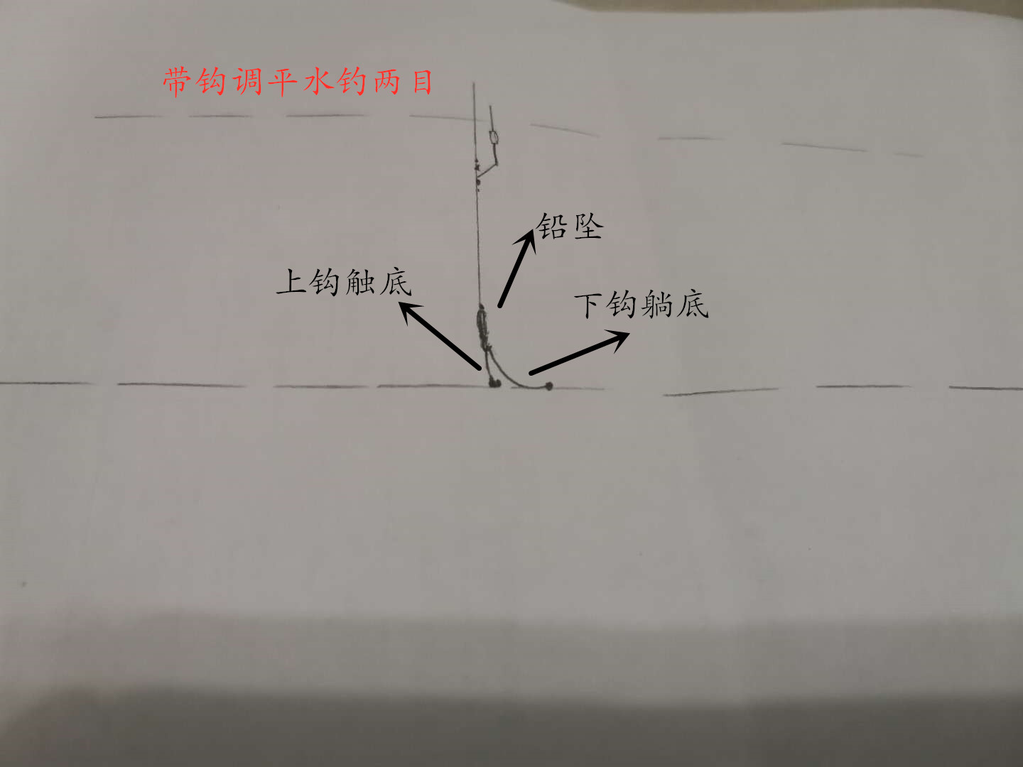 野钓鲮鱼调漂最佳方法,钓鲮鱼台钓调漂的正确方法
