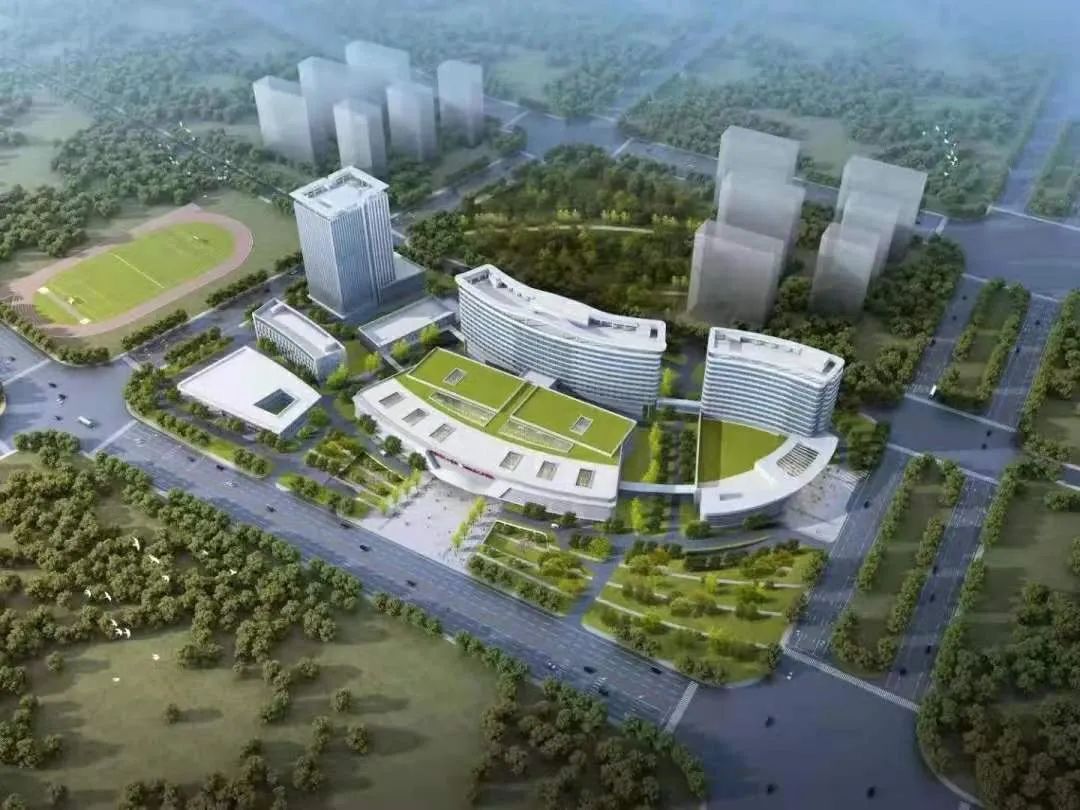 白沙洲最近消息,白沙洲现在发展怎么样