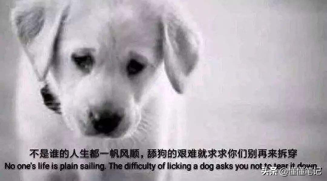 你看“舔狗”的故事，她在掏你的荷包