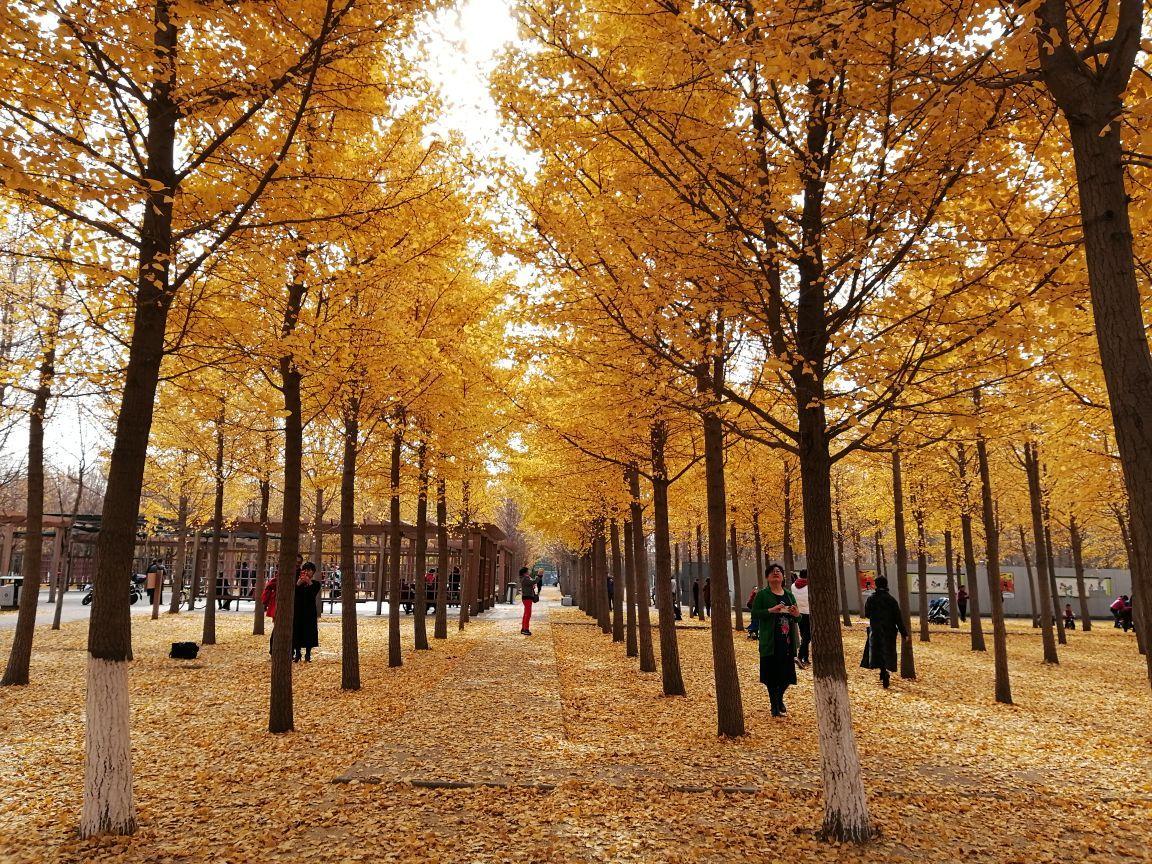 北京十大遛娃必去景点,北京宝藏遛娃地