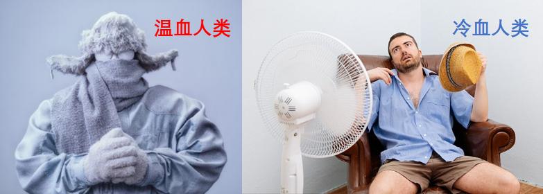 恐龙是温血动物还是冷血,恐龙是热血动物还是冷血动物