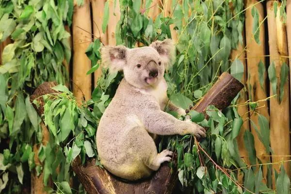 广州适合情侣旅游的景区推荐,广州情侣必去的旅游胜地