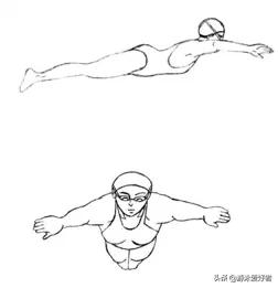 蛙泳技巧,蛙泳拖板技巧