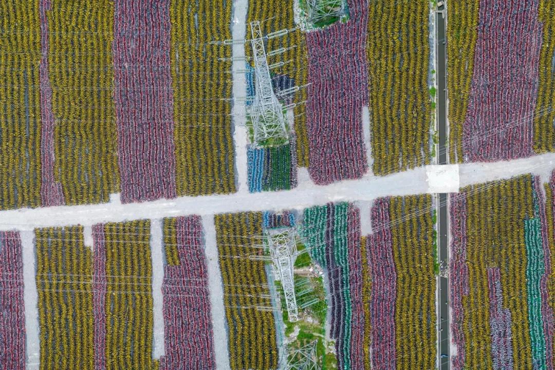 物联网的前景与优点,物联网是有前途的行业吗