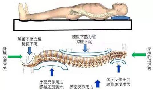 什么样的乳胶床垫最好,怎么样的乳胶床垫才是好的