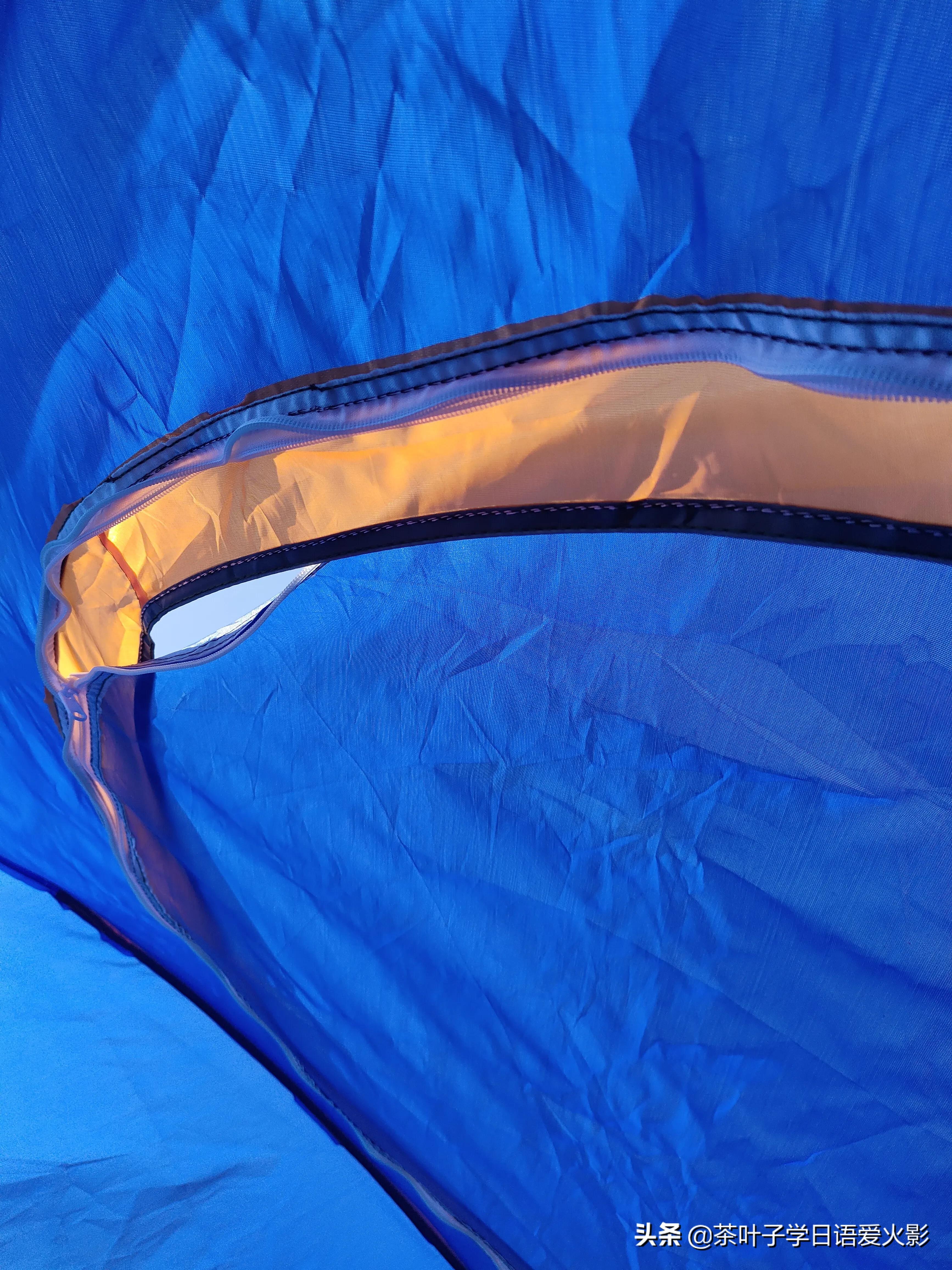 春天踏青适合去哪里玩,春天去上海辰山植物园攻略