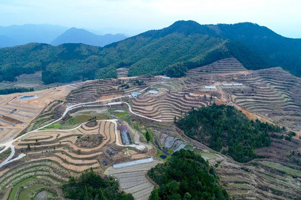 温州永嘉海拔最高的小村落，有座百年农场！很多人没听说过