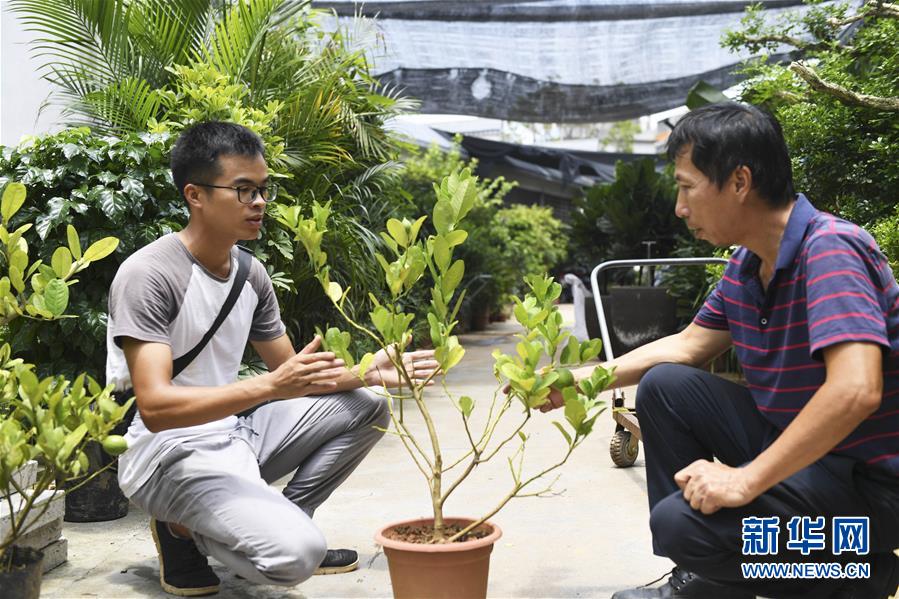 一个回乡创业的90后,回村种甘蔗的90后