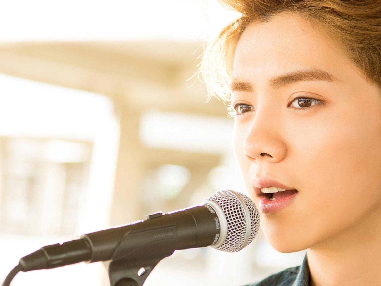 王思聪评价鹿晗演技怎么样,王思聪评论鹿晗演技动态图