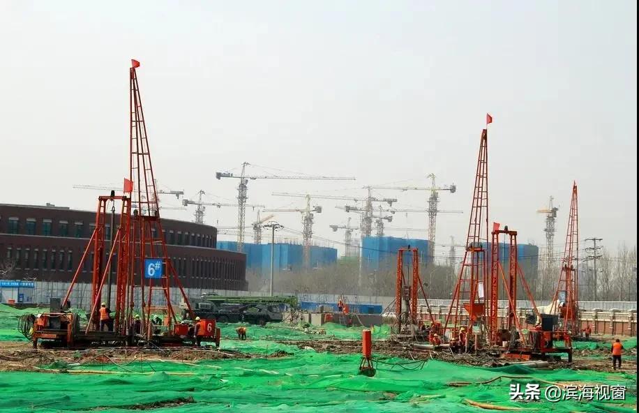 滨海新区示范小学,滨海新区小学排名一览表