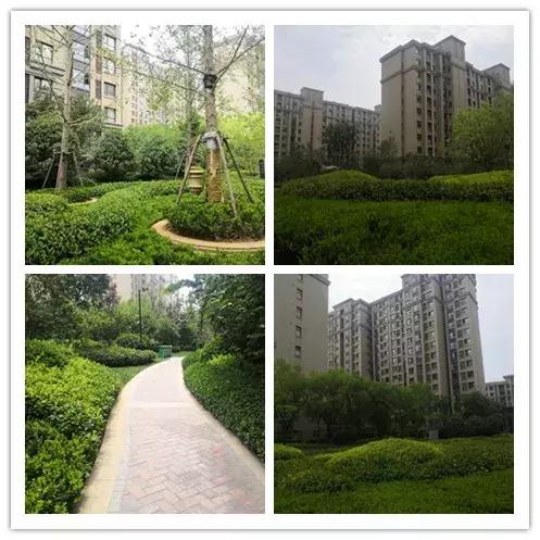 正弘澜庭叙和正弘府,郑州正弘澜庭叙和正弘府怎么选