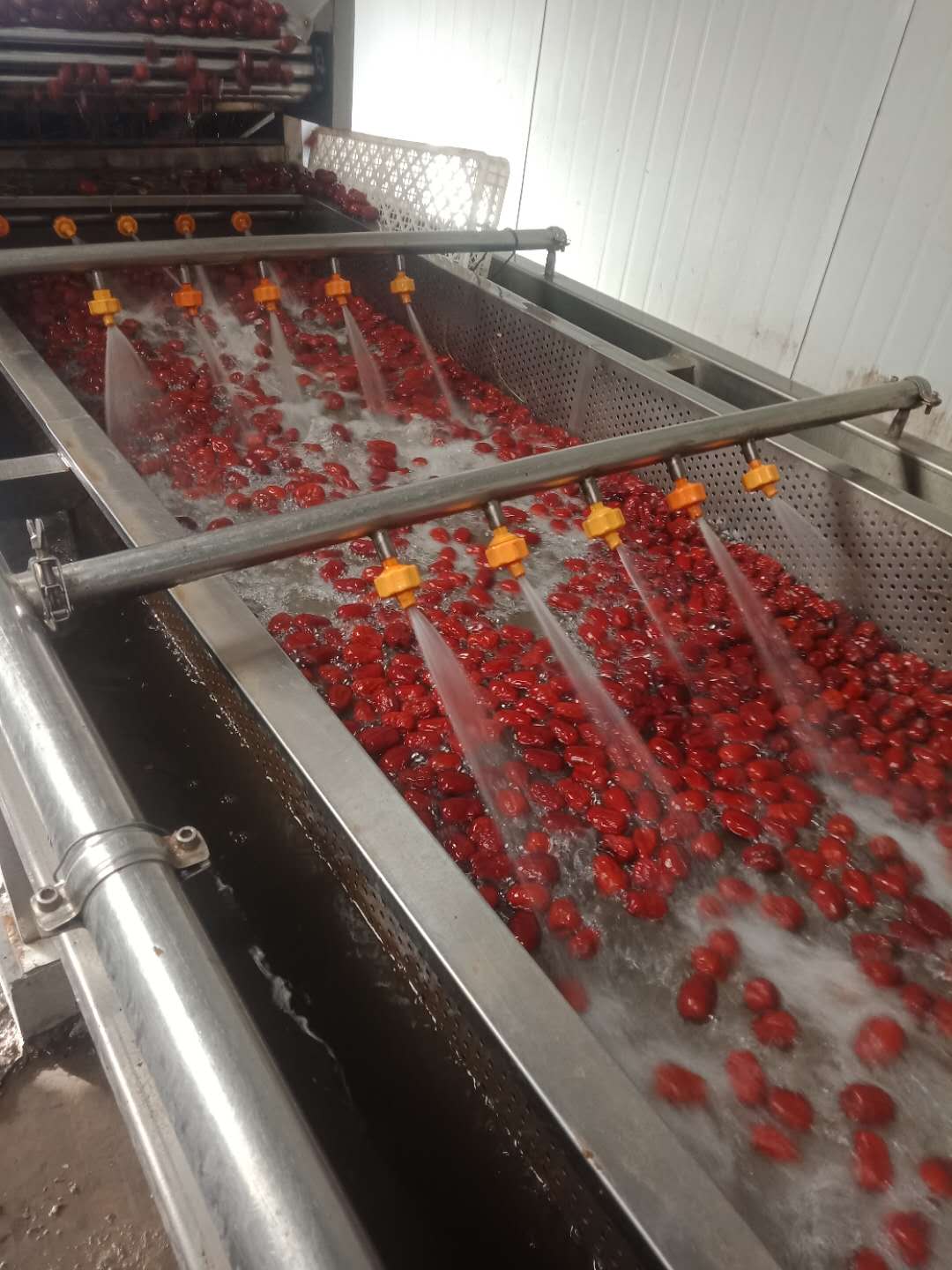 世间有和田枣，我就是吃不厌