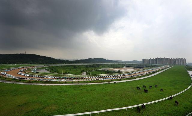 游玩东京2020奥运会,东京除了东京还有哪些玩的地方