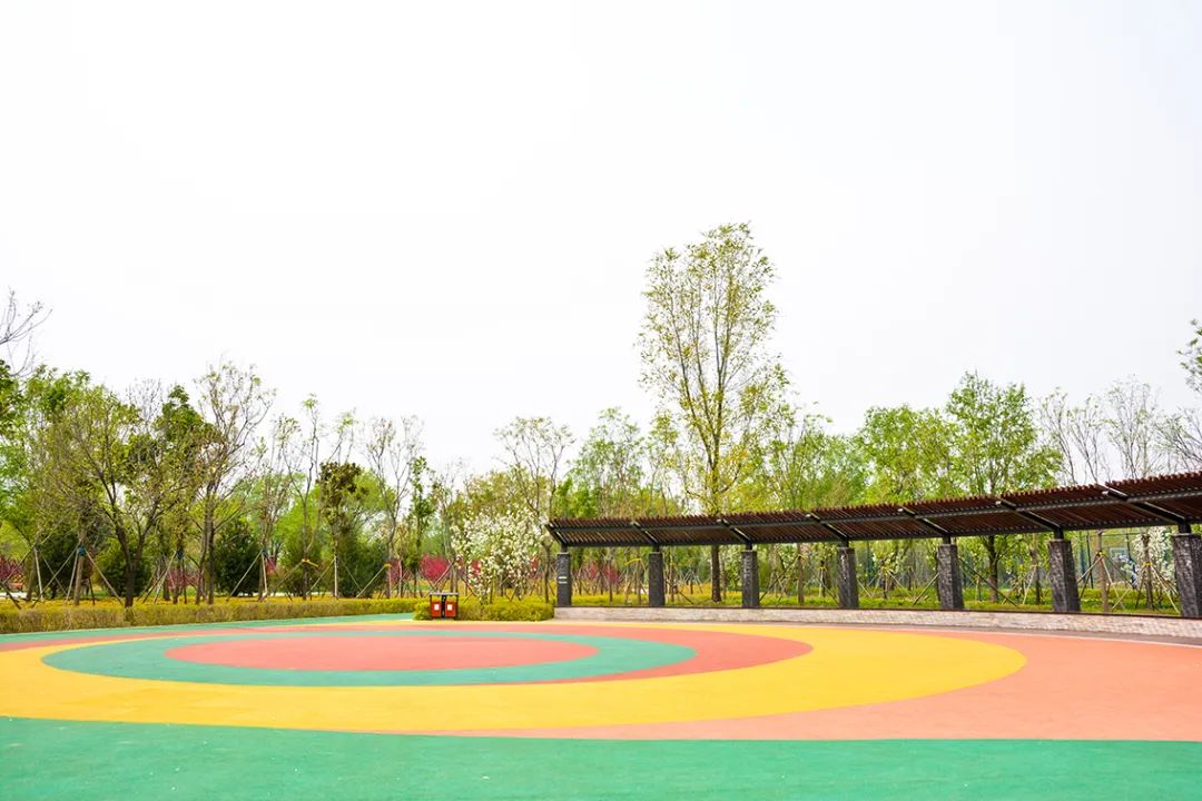 春意盎然北京五大公园,北京区级综合性公园