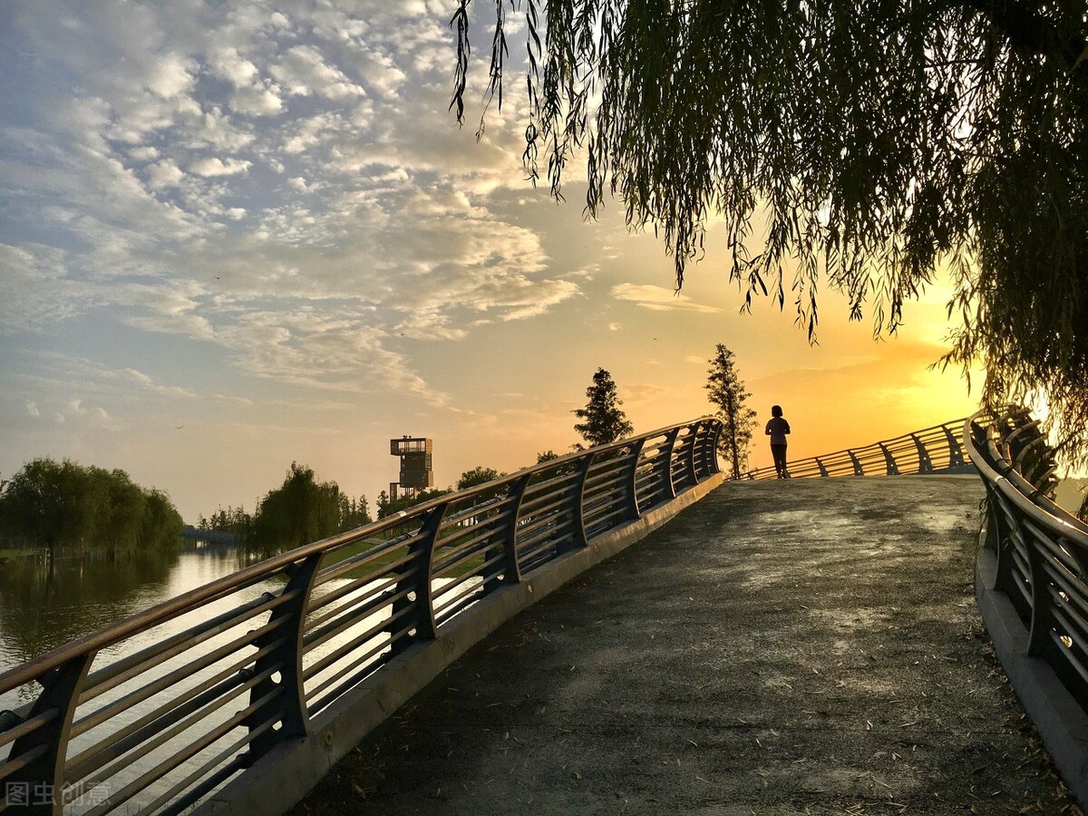 感悟大自然作文450字,感悟大自然作文500字