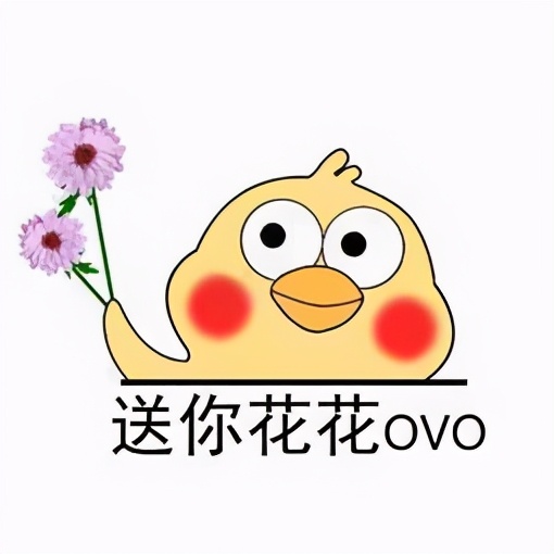 园林人需要知道的85个花卉知识,园林花卉的种类及图片