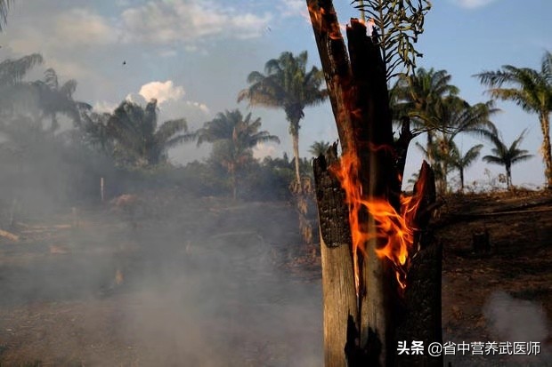 人的肺坏了还能活吗,人的肺损坏了还能活多久