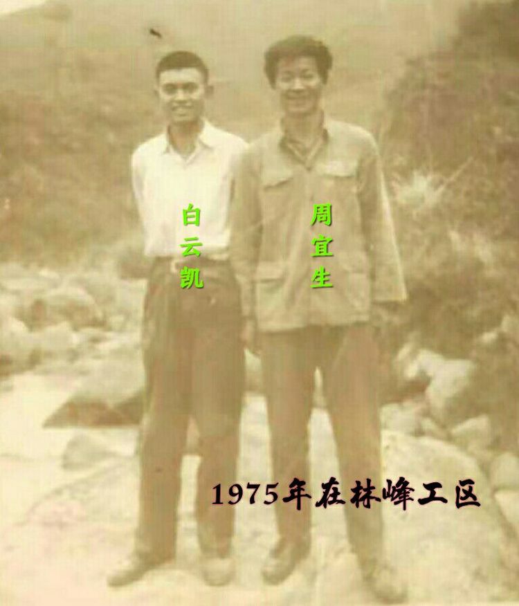 难以释怀的知青情结,60年代的知青情结