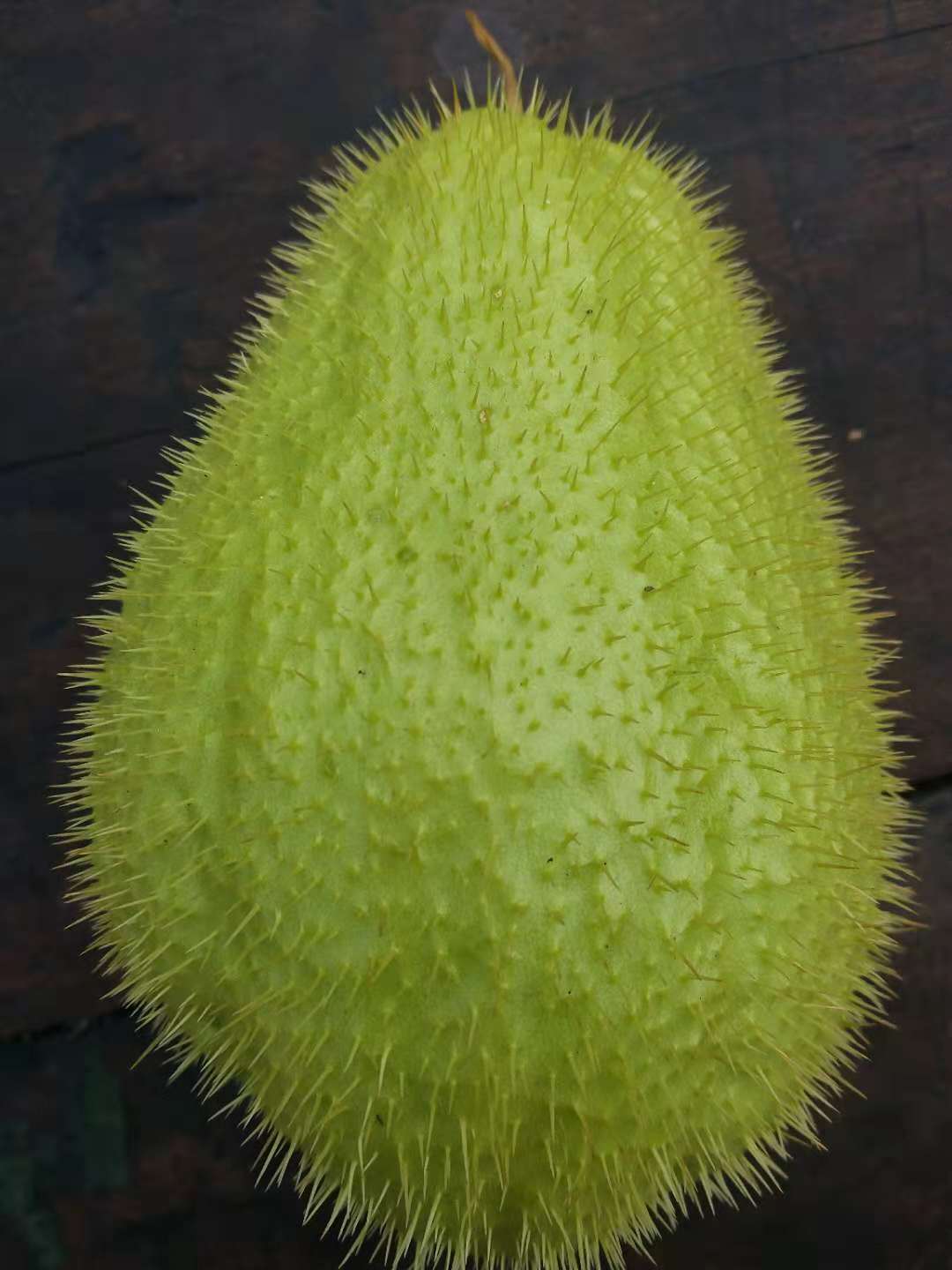 佛手瓜有哪些变种,佛手瓜有雄雌之分吗