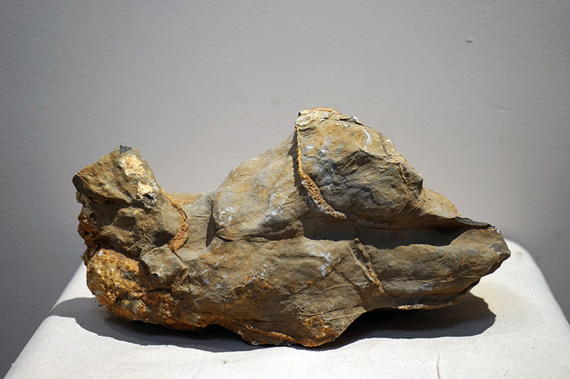 10月27日安徽保真藏品（书画、观赏石）艺术品图鉴（61-5期）