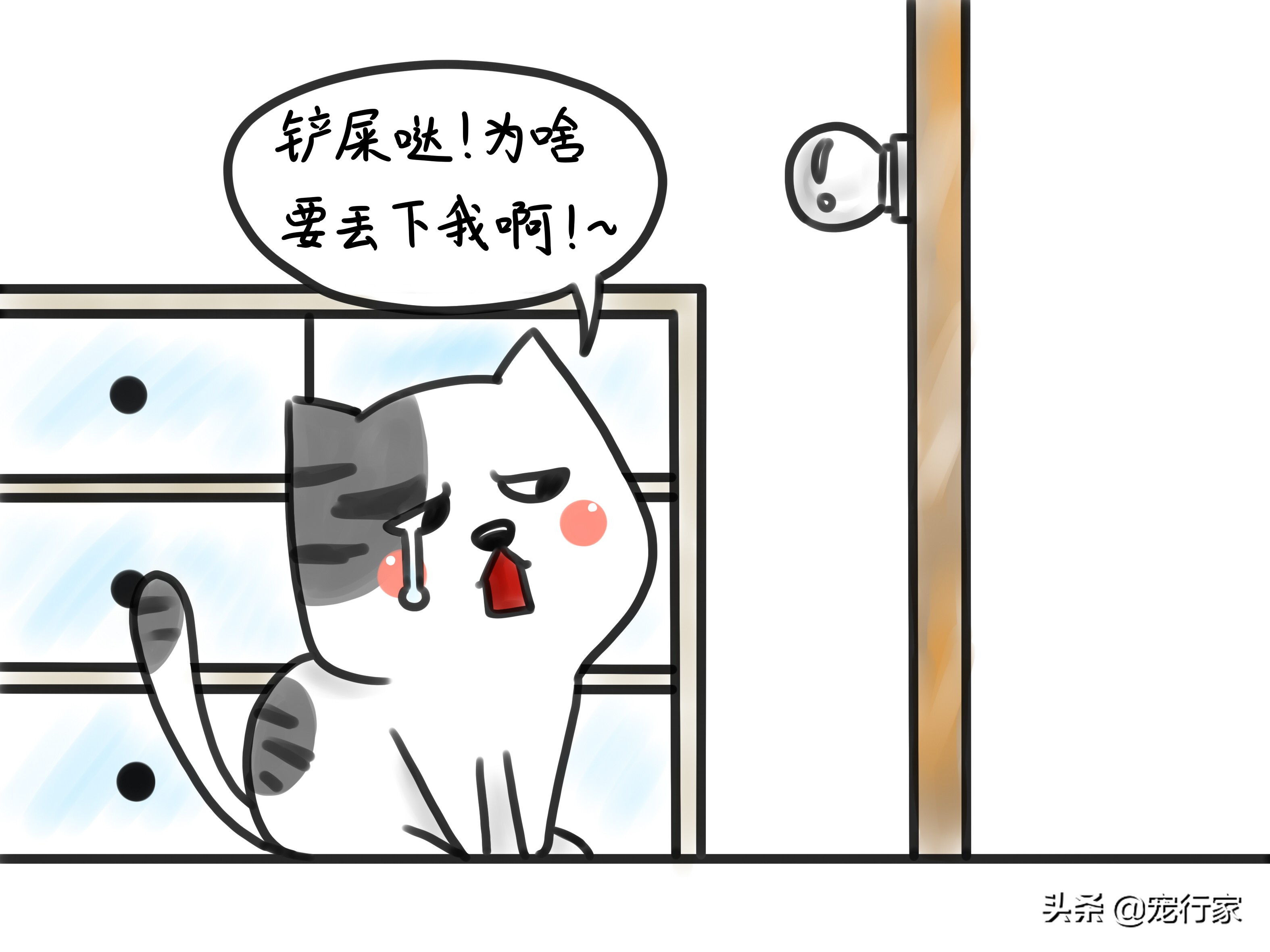 猫也有分离焦虑症吗,猫有分离焦虑怎么办