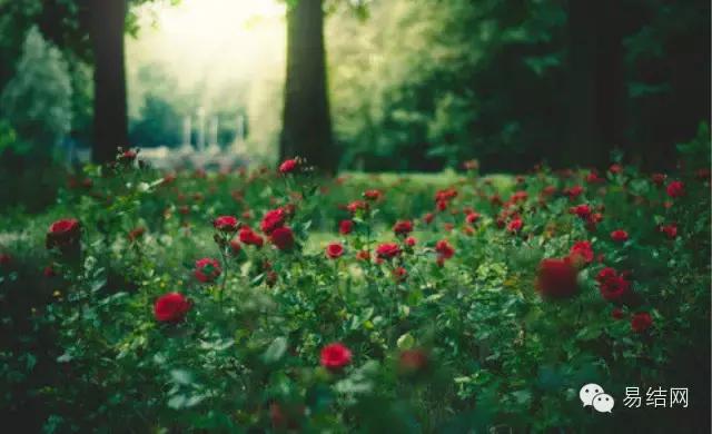 婚礼流程创意策划幽默,婚礼策划方案100字